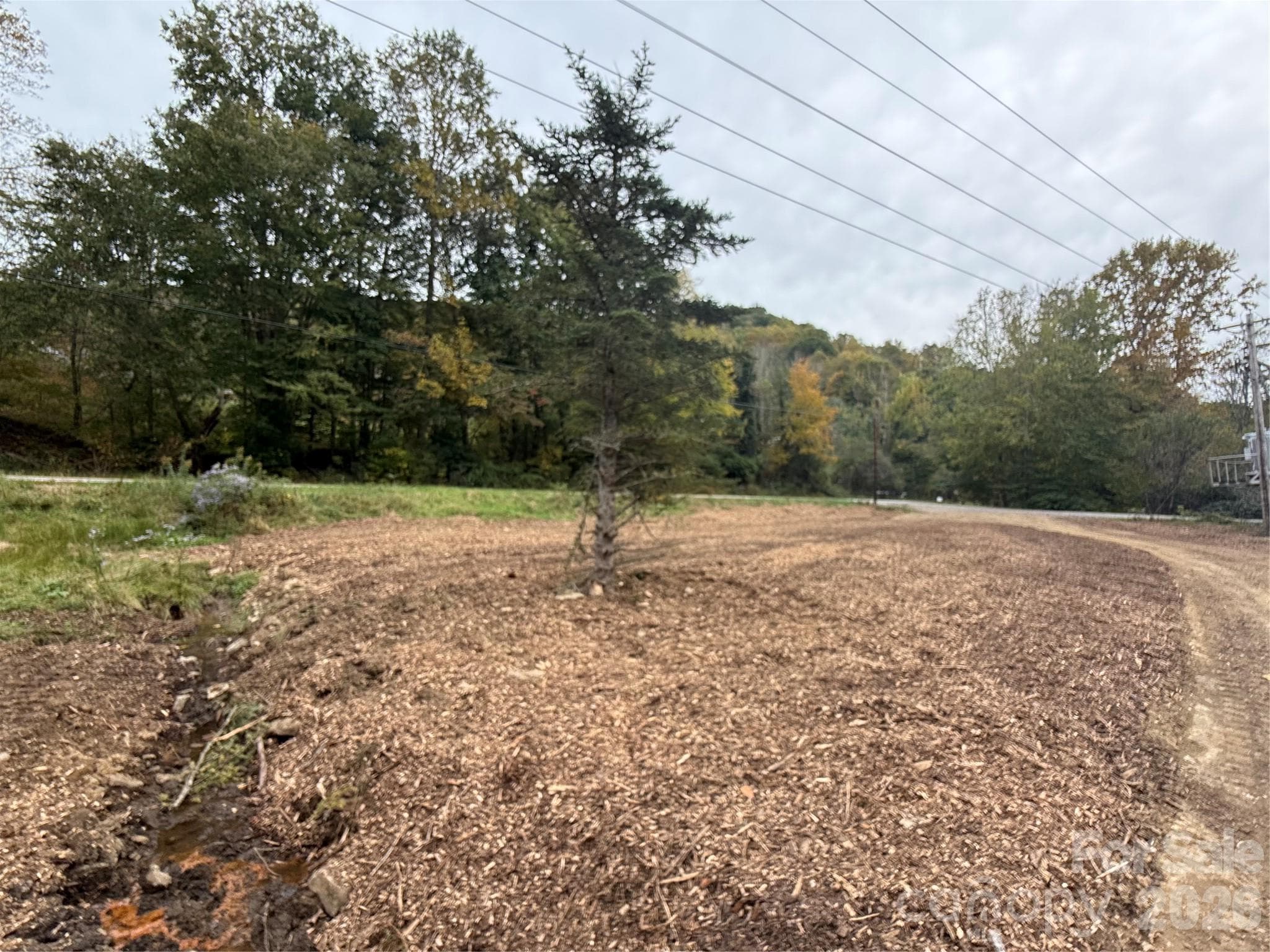 Lot at TBD Puncheon Fork Road, Mars Hill, photo 20 of 26