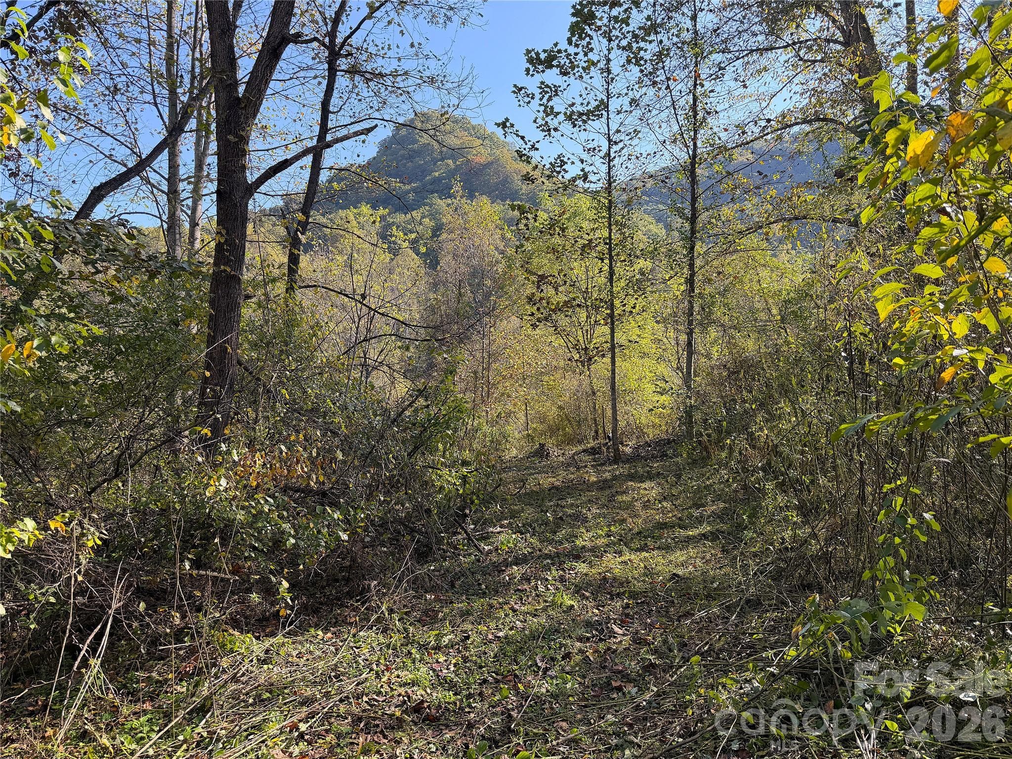 Acreage at TBD Baltimore Branch Road, Hot Springs, photo 5 of 21
