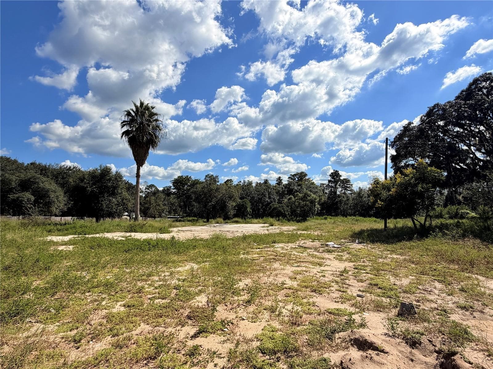 Land at 10306 DWIGHTS RD, CLERMONT, photo 6 of 16