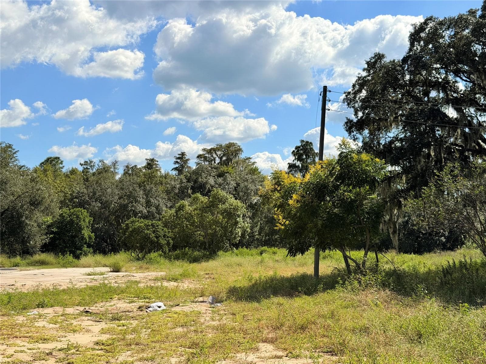 Land at 10306 DWIGHTS RD, CLERMONT, photo 8 of 16