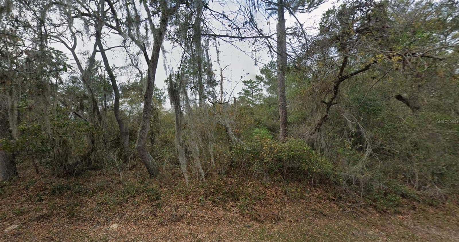 89 - 87 COURTLAND BLVD, DELTONA