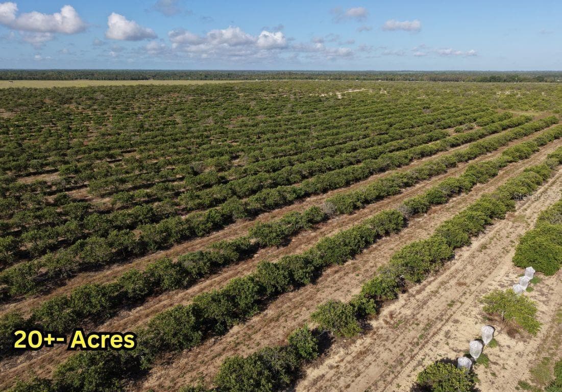 Land at 8961 COUNTY ROAD 17 S, SEBRING, photo 11 of 13