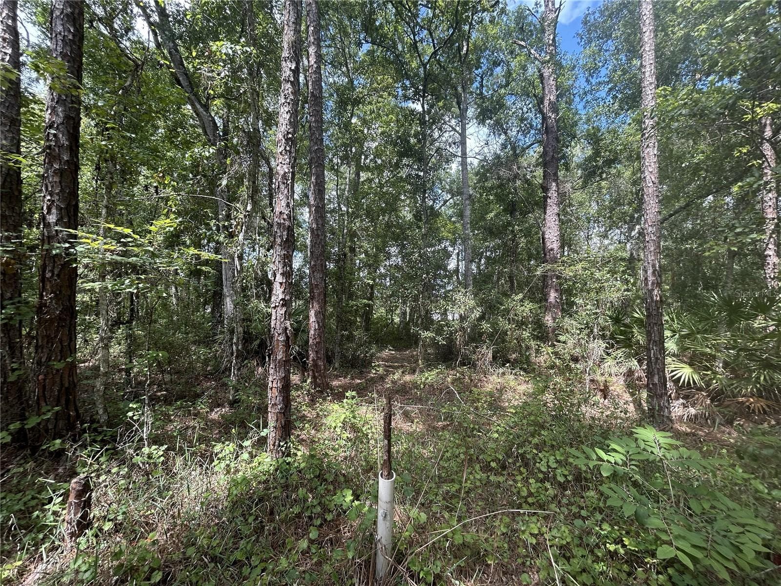 Land at KUSAN ST, NEW PORT RICHEY, photo 3 of 5