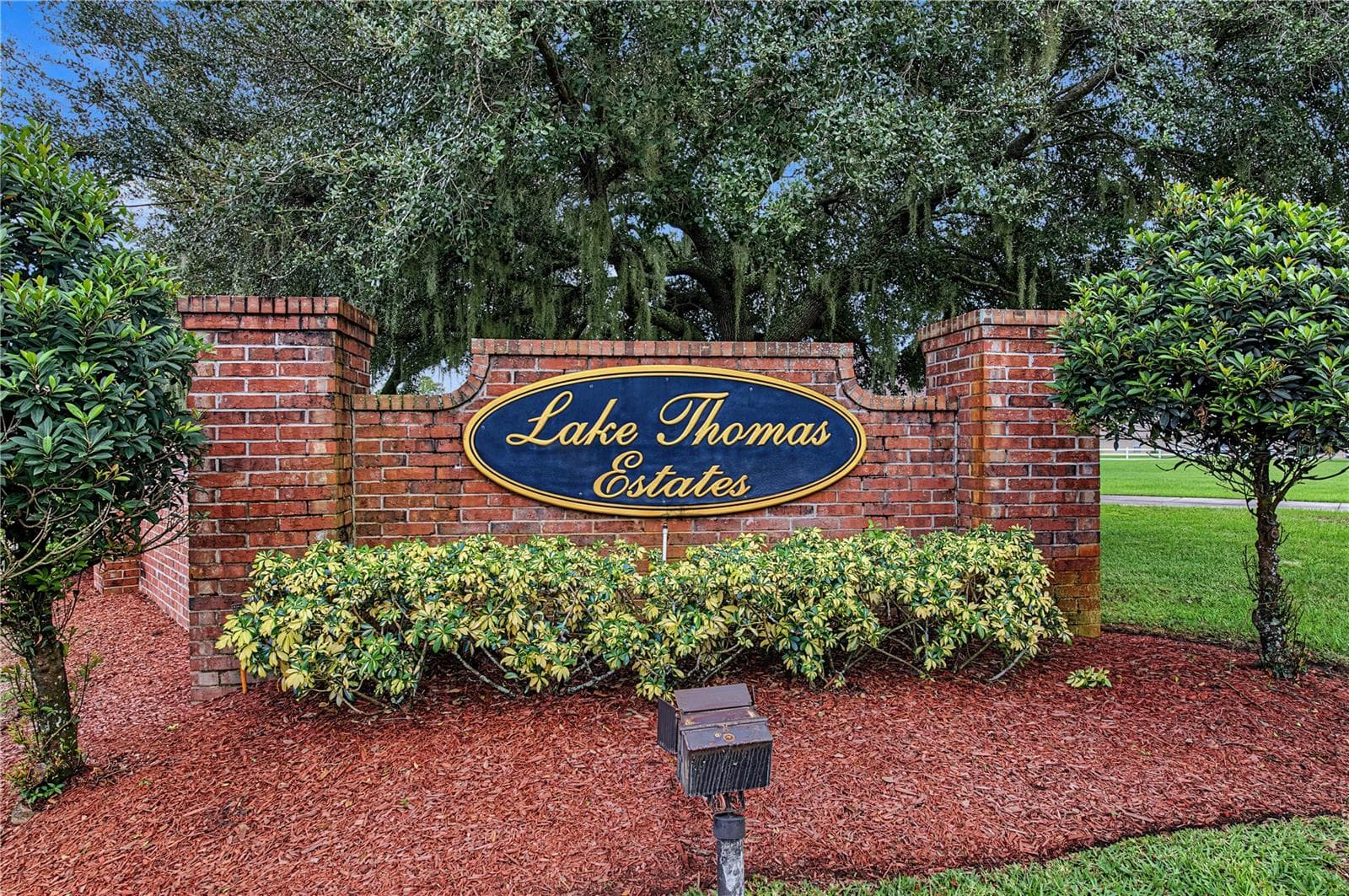 Lake Thomas Estates - 915 LAKE THOMAS LN, LUTZ