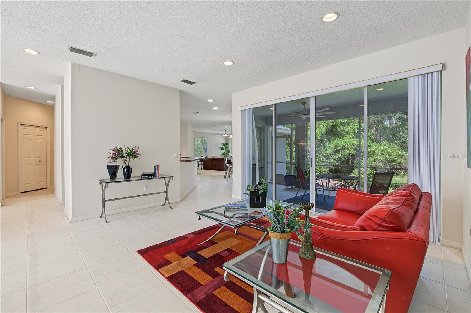 Living Room overlooking the backyard and patio - 915 LAKE THOMAS LN, LUTZ