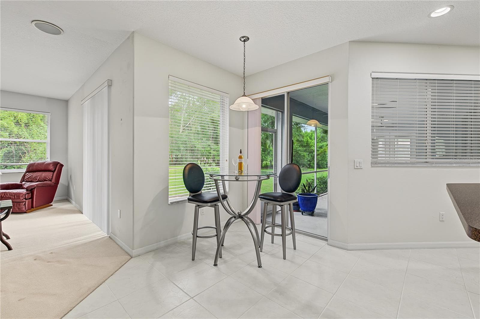 Great Views of the backyard from the Kitchen, Dinette area and the Family Room. - 915 LAKE THOMAS LN, LUTZ