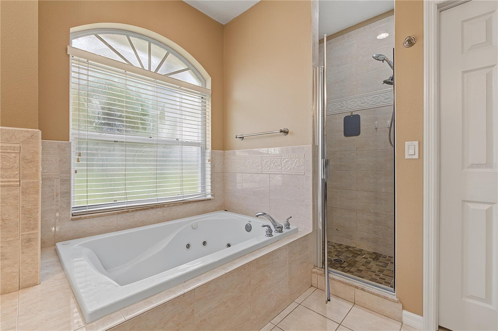 Master Bathtub and Shower - 915 LAKE THOMAS LN, LUTZ
