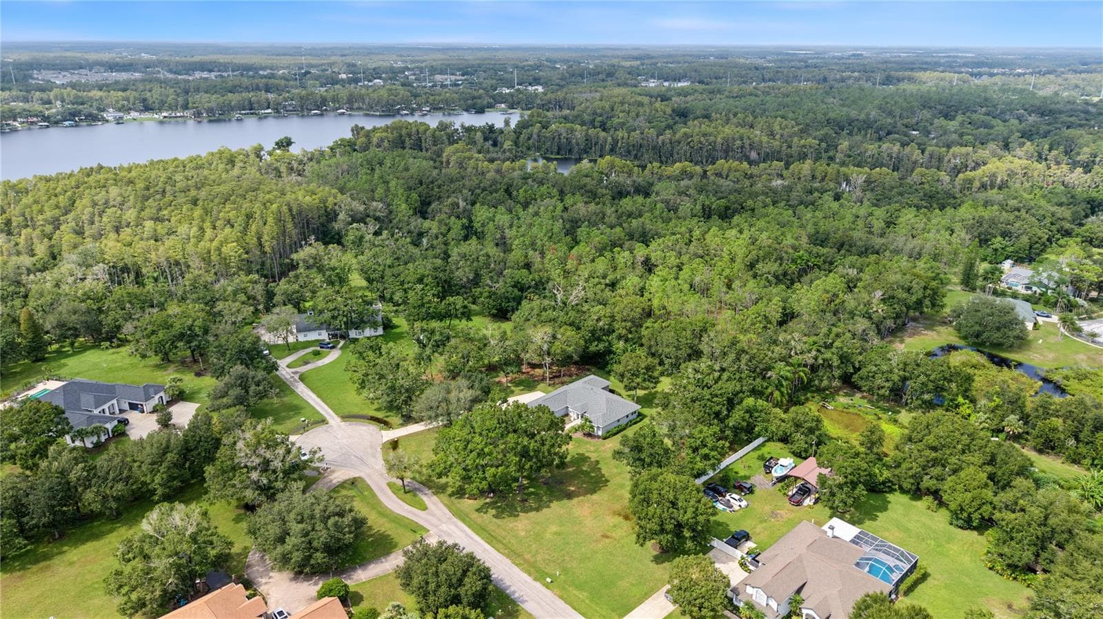 Drone overview of property in the cul de sac. - 915 LAKE THOMAS LN, LUTZ