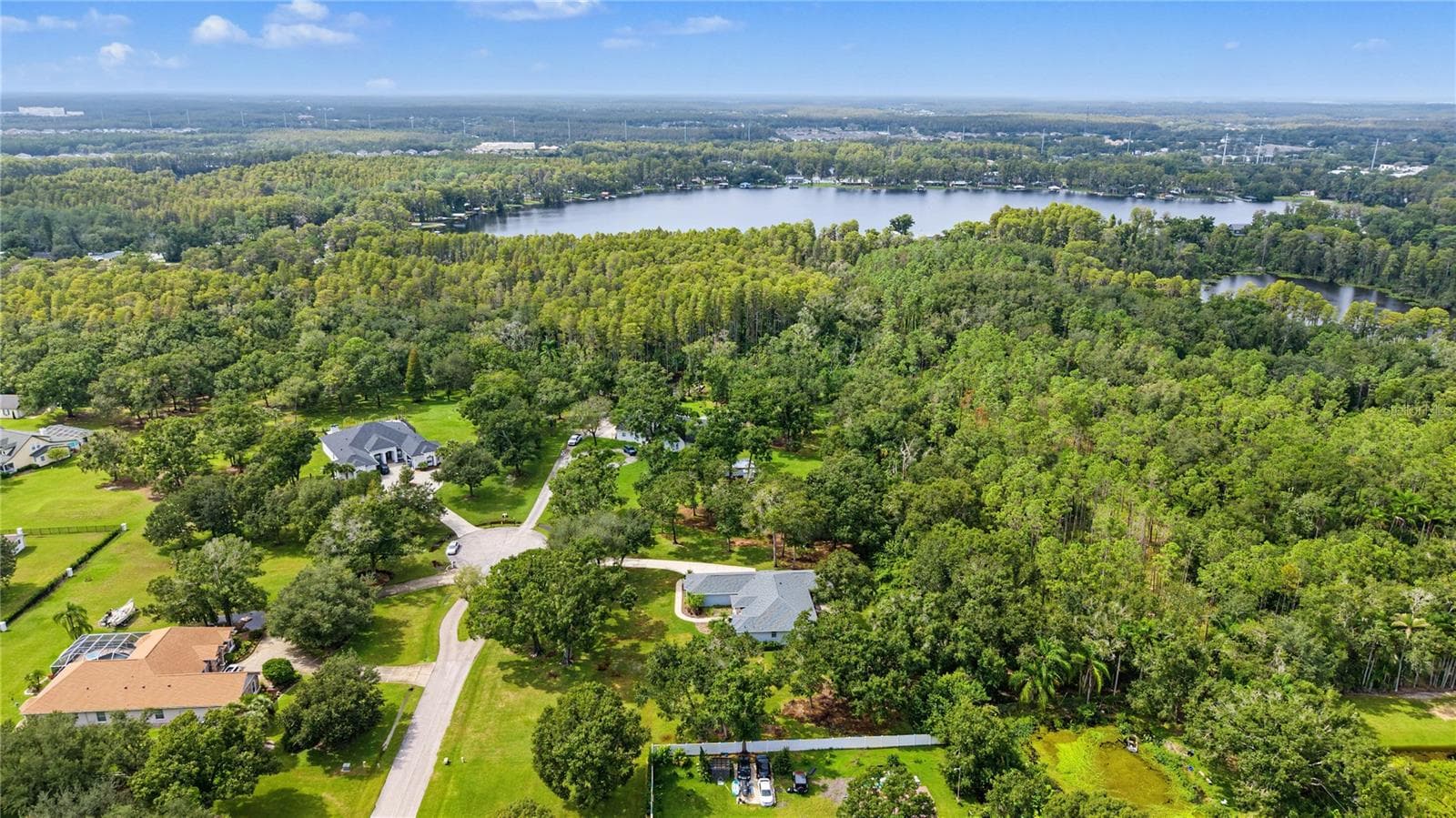 Drone over view of property - 915 LAKE THOMAS LN, LUTZ