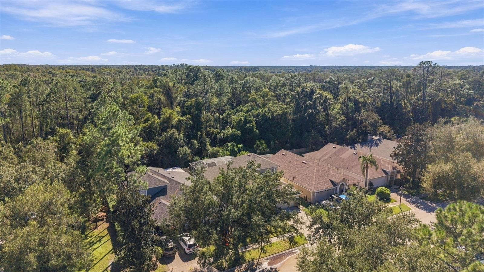 Conservation - 21916 WAVERLY SHORES LN, LAND O LAKES