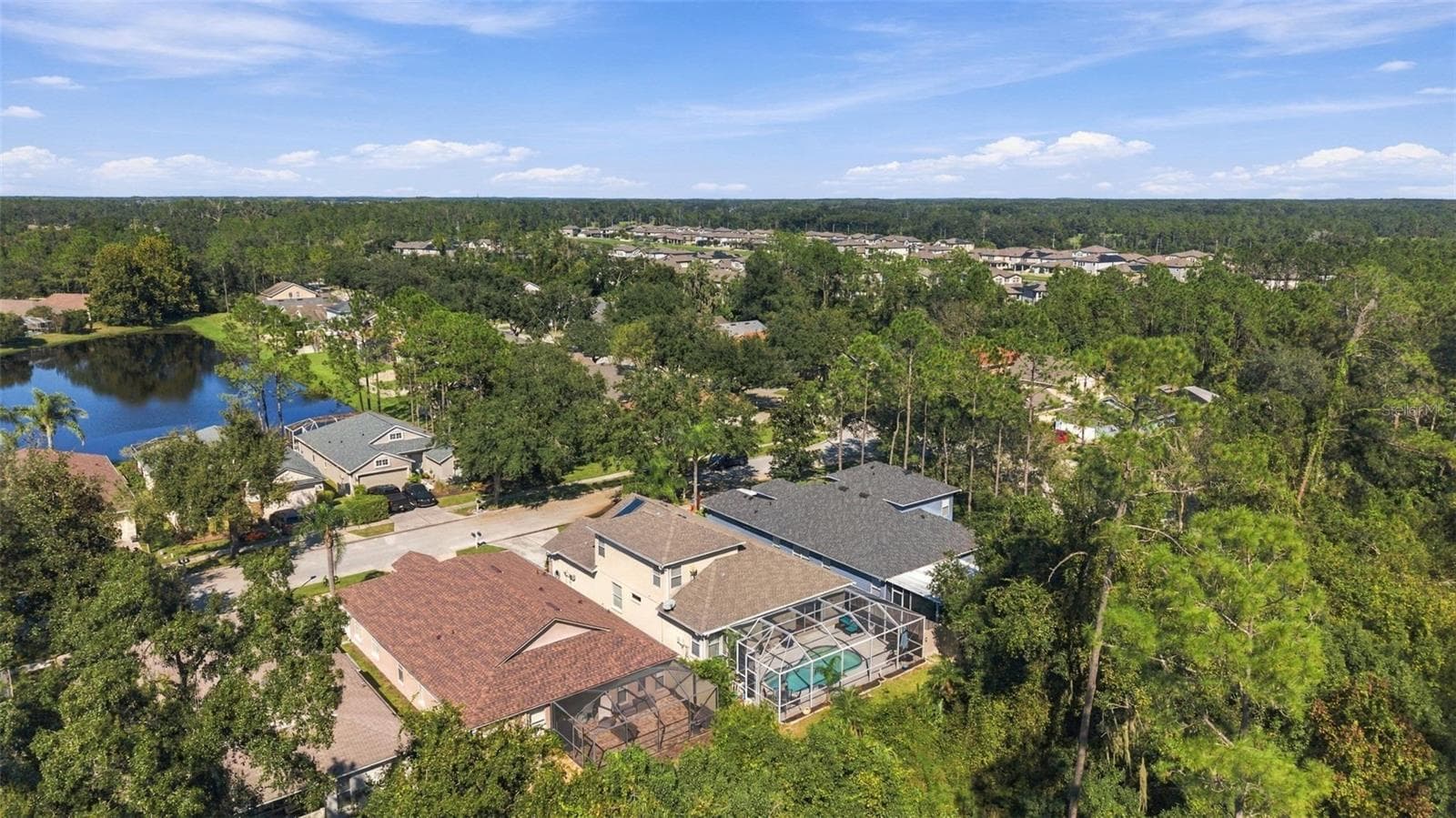 Single Family Residence at 21916 WAVERLY SHORES LN, LAND O LAKES, photo 58 of 78