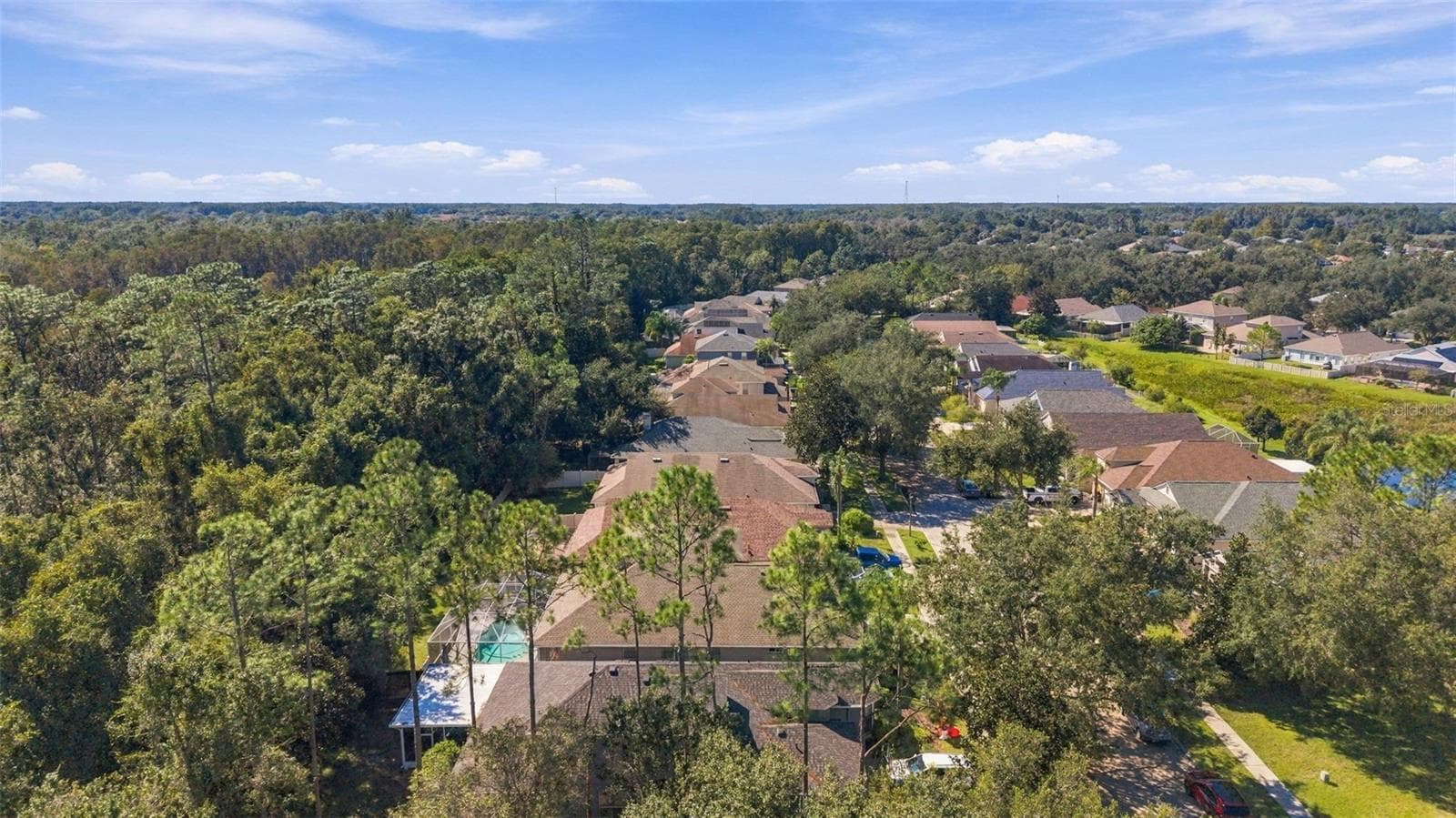 Single Family Residence at 21916 WAVERLY SHORES LN, LAND O LAKES, photo 60 of 78