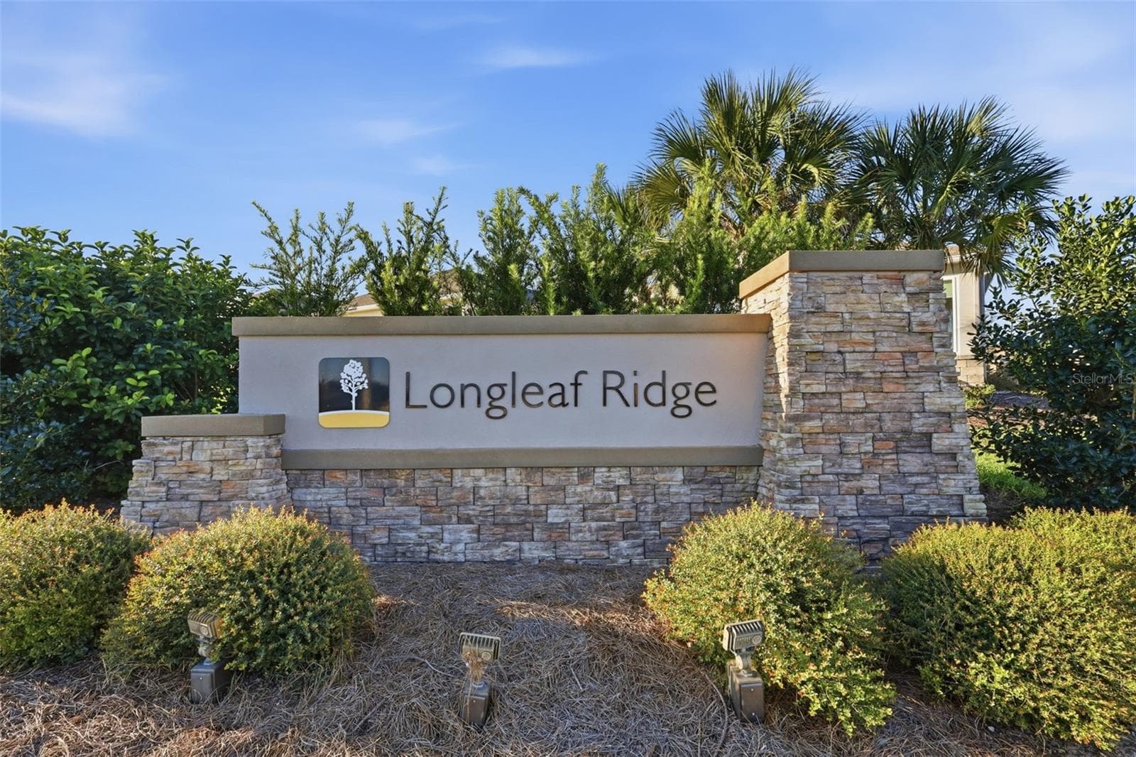 Single Family Residence at 10378 SW 96TH LOOP, OCALA, photo 42 of 53