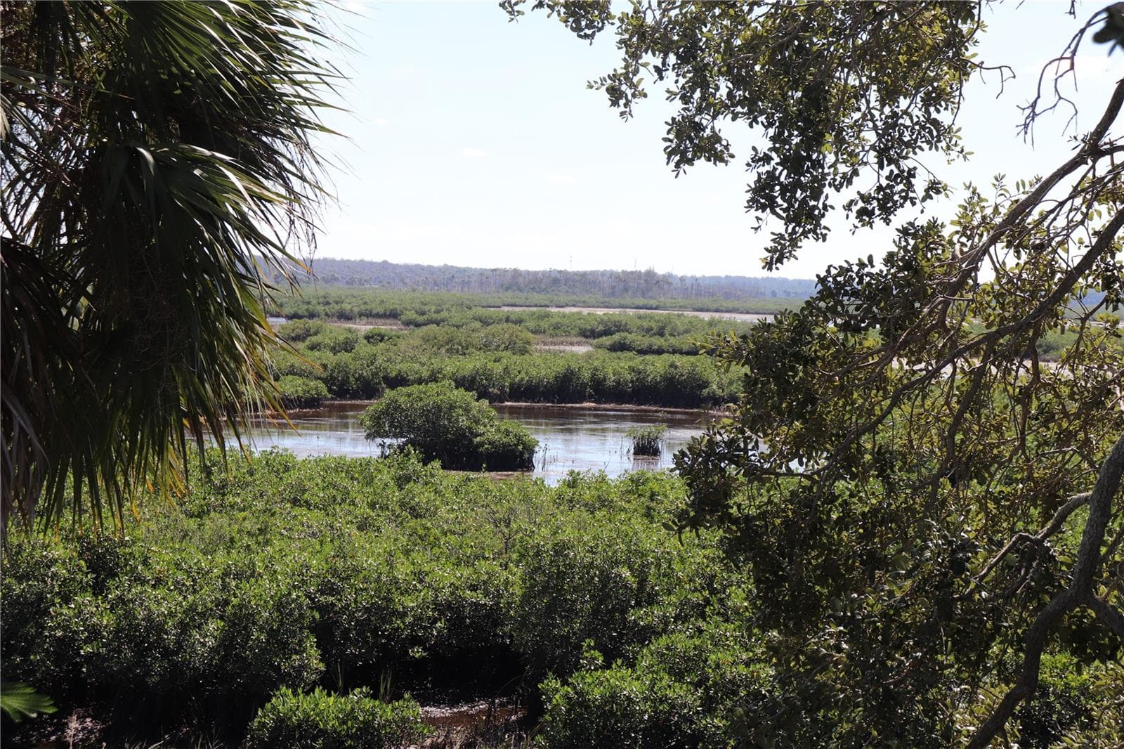 Land at 10501 PINE ISLAND DR, WEEKI WACHEE, photo 8 of 16