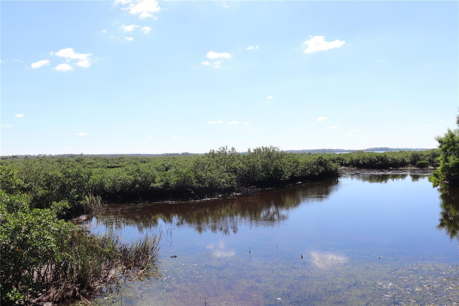 Land at 10501 PINE ISLAND DR, WEEKI WACHEE, photo 13 of 16