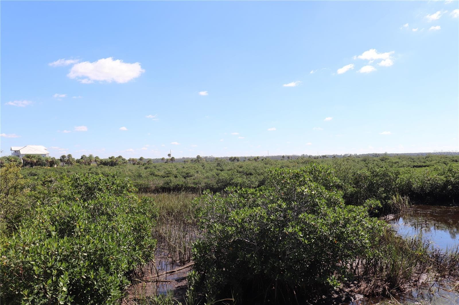 Land at 10501 PINE ISLAND DR, WEEKI WACHEE, photo 14 of 16