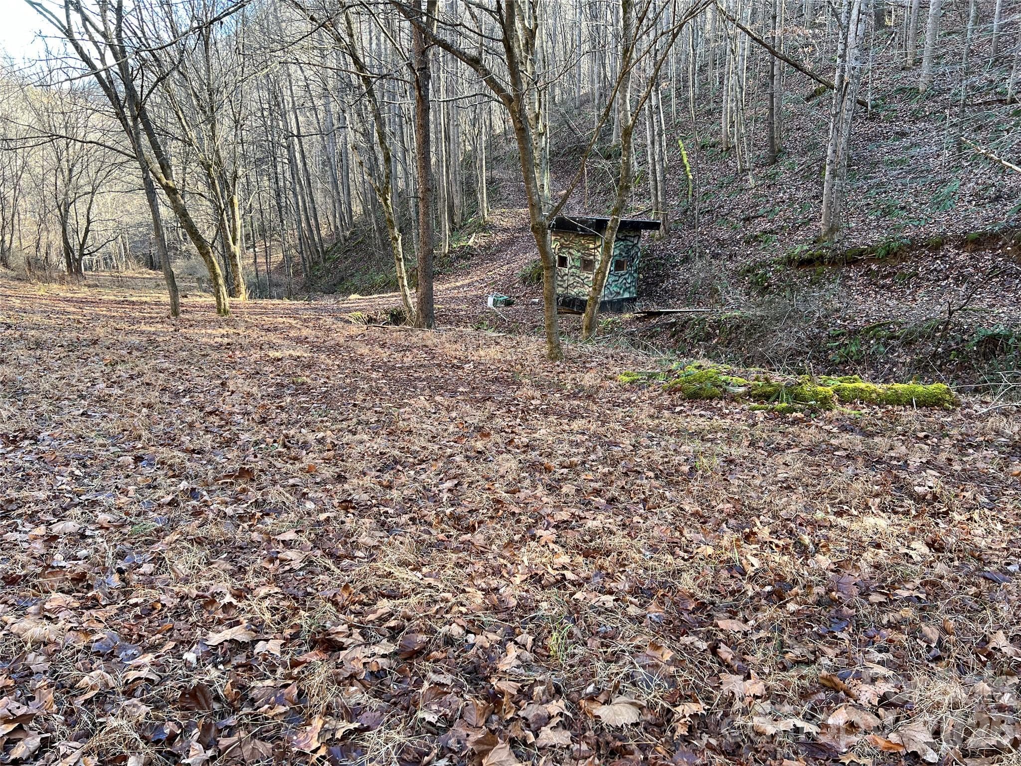 Camping or hunting shack - 12982 US HWY 19W None, Burnsville