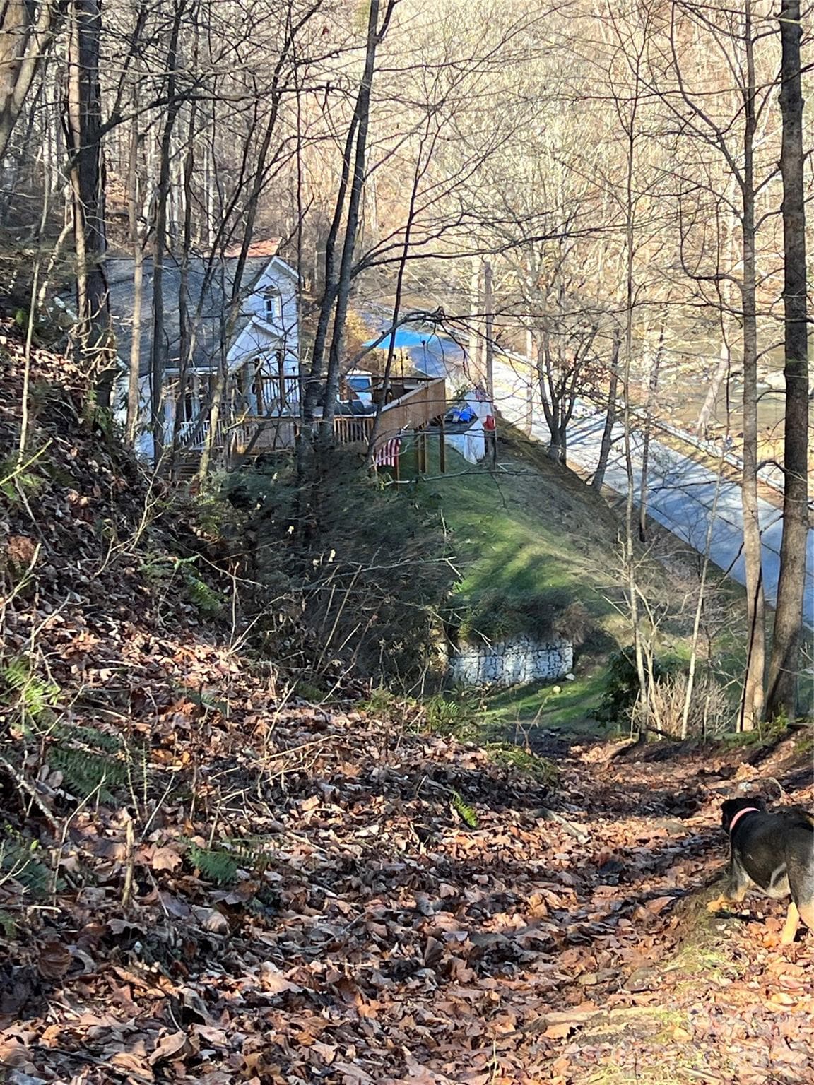 House coming down from land road. - 12982 US HWY 19W None, Burnsville