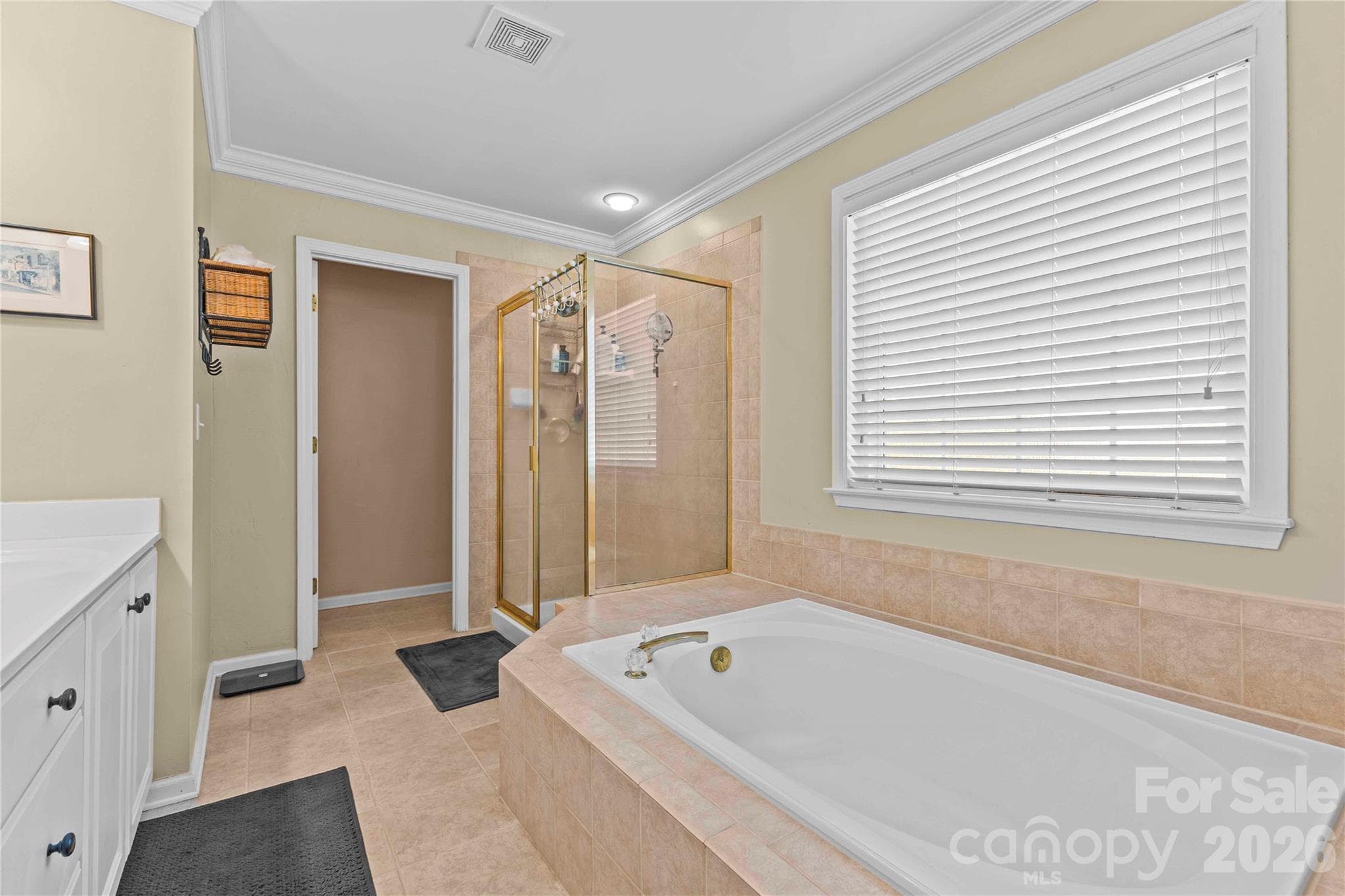 Primary Bathroom - 9648 Cockerham Lane, Huntersville