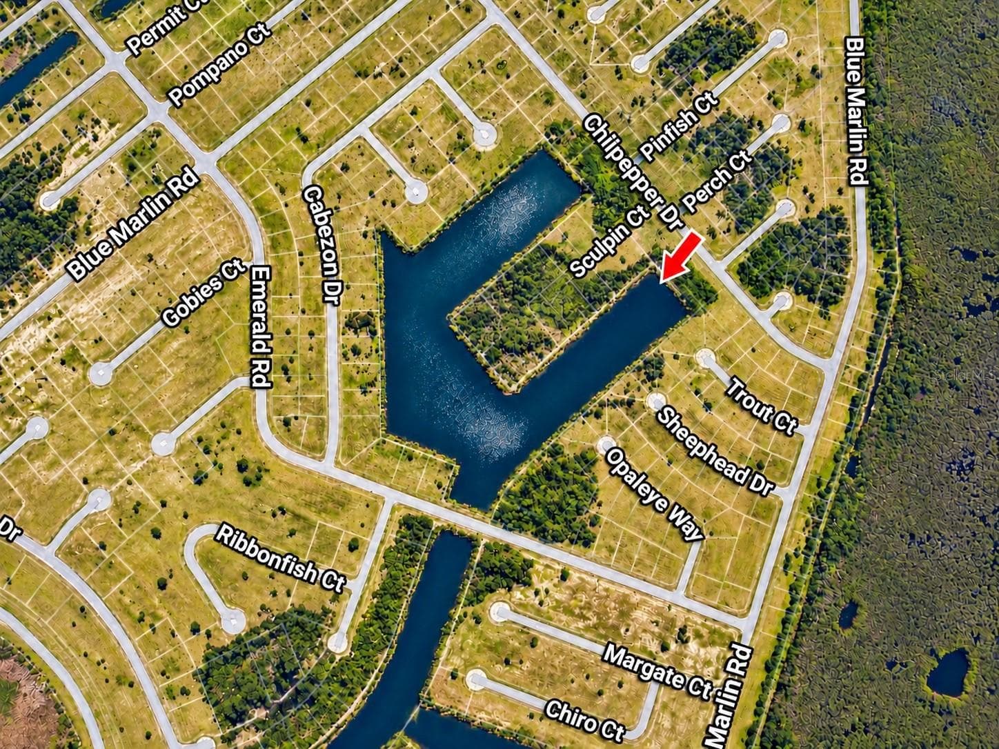 Land at 12521 CHILIPEPPER DR, PLACIDA, photo 3 of 4