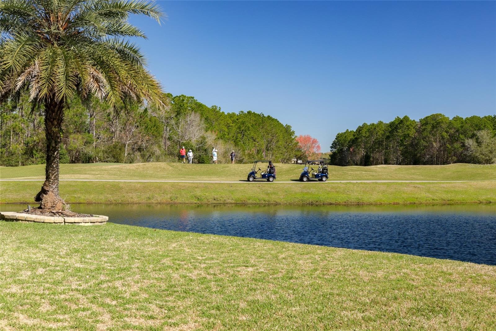 Single Family Residence at 4420 CASTLE PALM CT, ORANGE PARK, photo 94 of 99