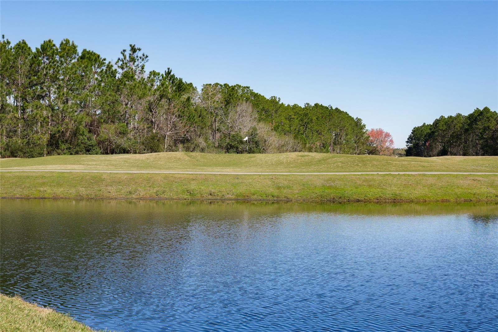 Single Family Residence at 4420 CASTLE PALM CT, ORANGE PARK, photo 95 of 99