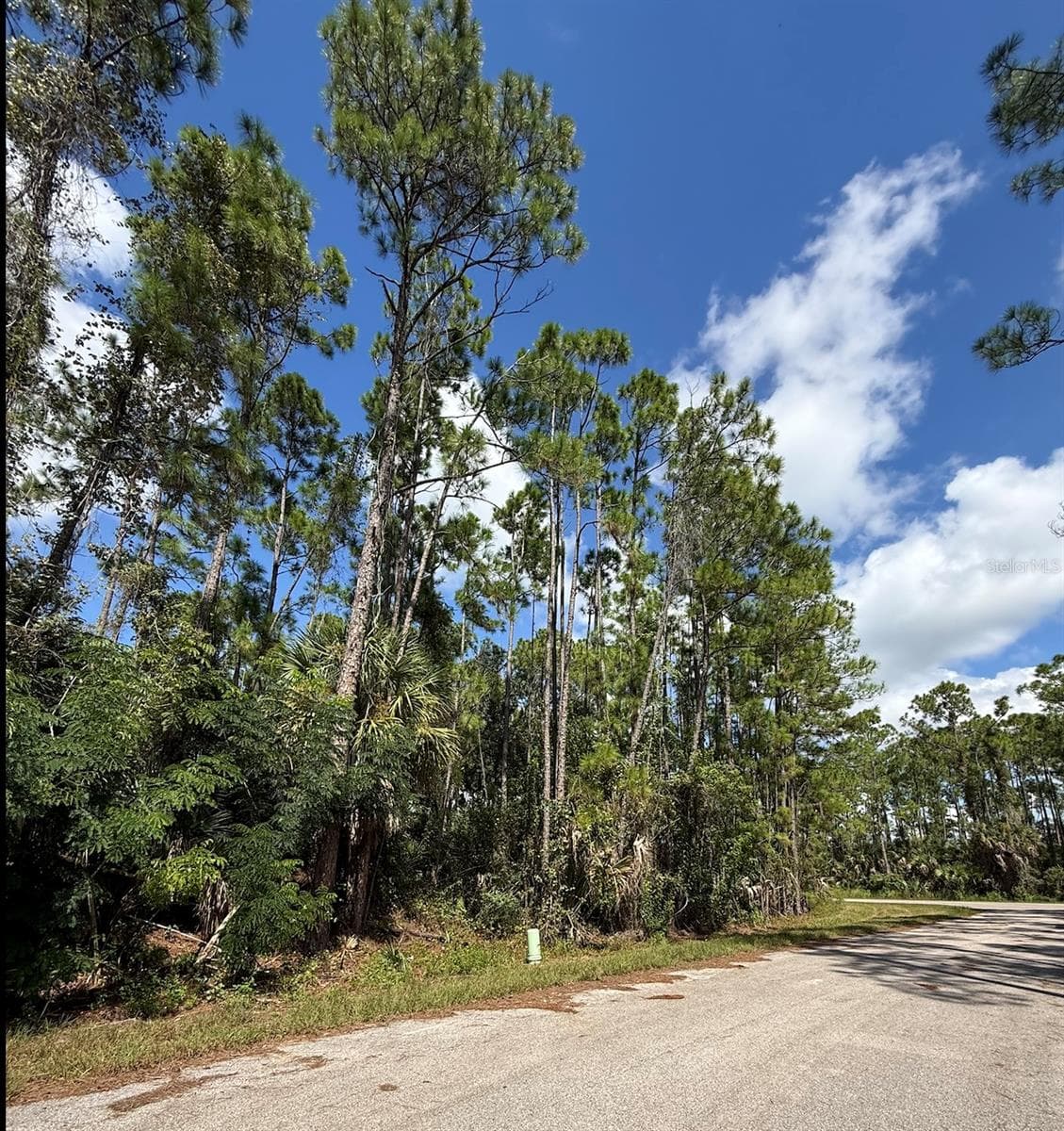 Land at CARMELIA ST, NORTH PORT, photo 2 of 12
