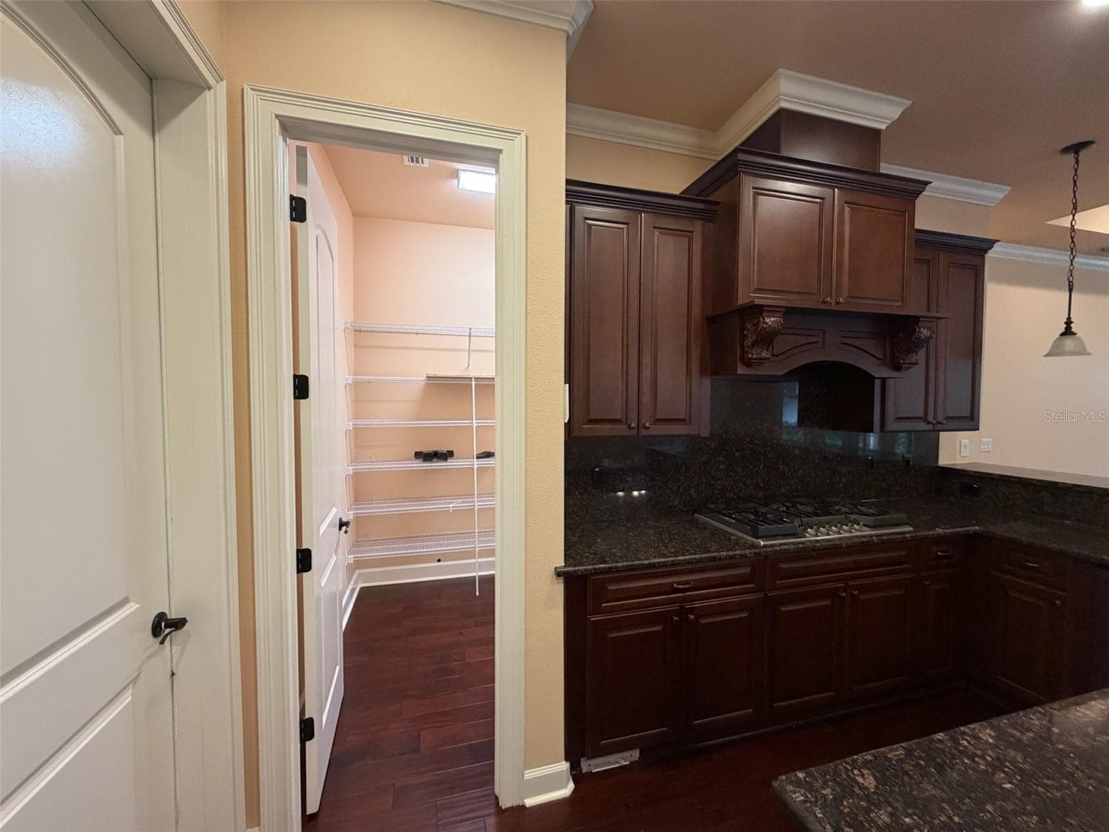 Single Family Residence at 9650 MILANO DR, NEW PORT RICHEY, photo 58 of 75
