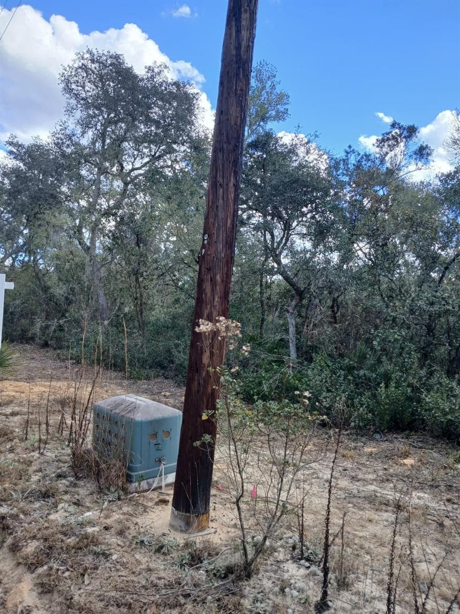 Land at TBD NE 234 TH PL #Lots 19.20.21, FORT MC COY, photo 2 of 4