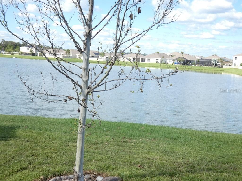 View From Inside the Home:) - ZEPHYR LAKES SUB, ZEPHYRHILLS