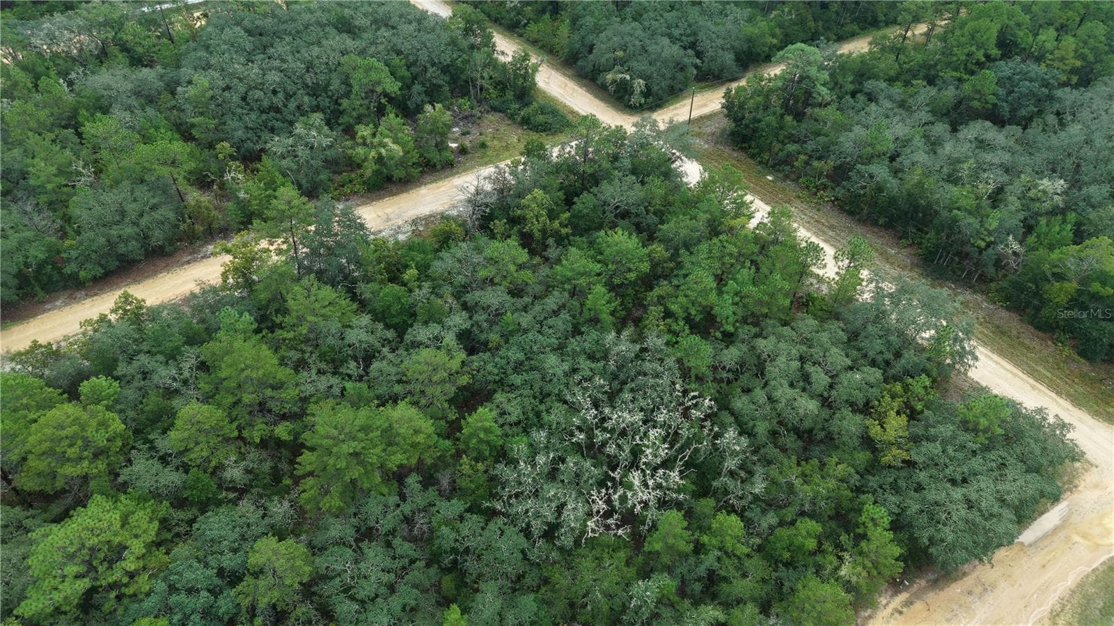 Land at N/A SELMA AVE, INTERLACHEN, photo 15 of 21