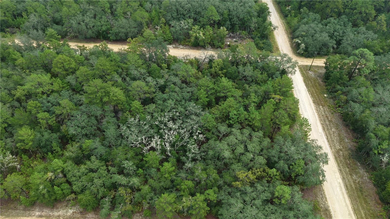 Land at N/A SELMA AVE, INTERLACHEN, photo 16 of 21