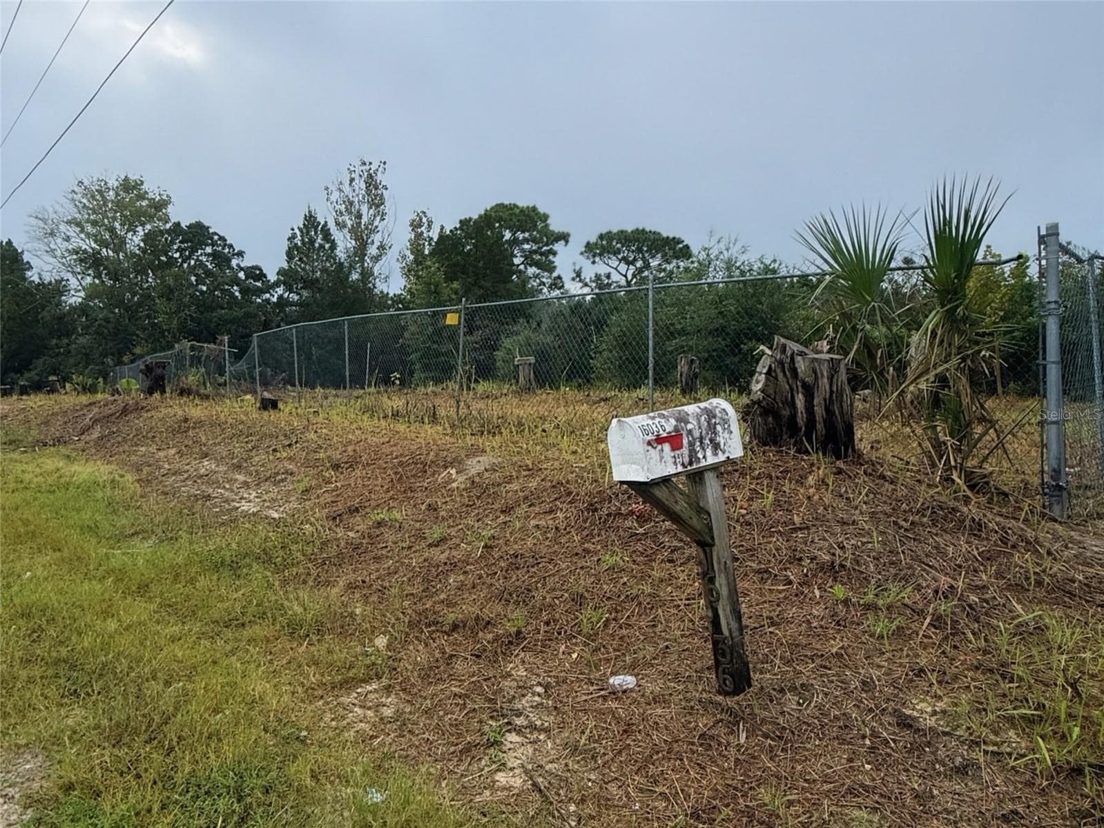Lot size 254ft x 637ft - 16036 BOSLEY DR, SPRING HILL