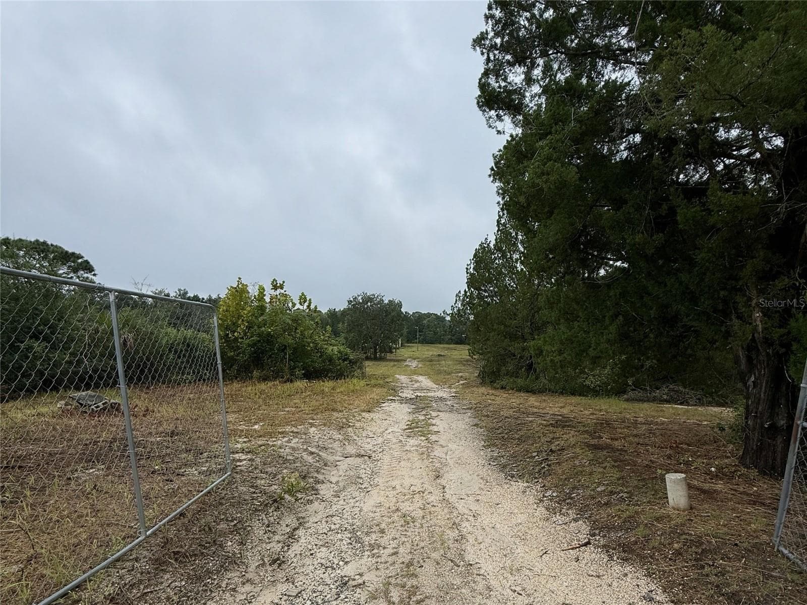 Fenced 3.85 acres with gated entrance, zoned AR - 16036 BOSLEY DR, SPRING HILL