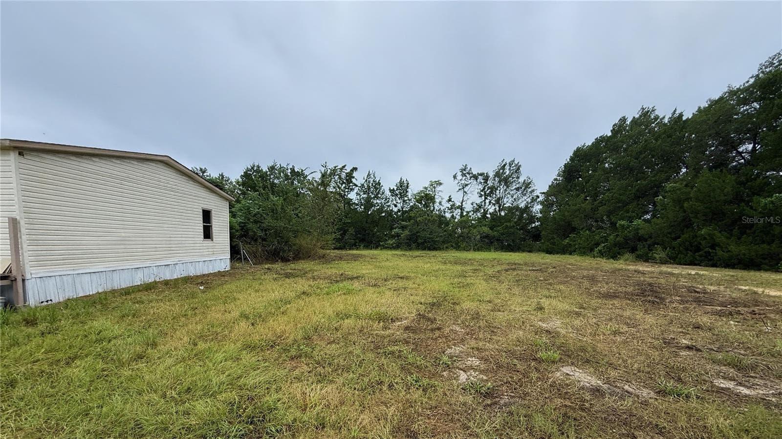 Right side of house and property - 16036 BOSLEY DR, SPRING HILL