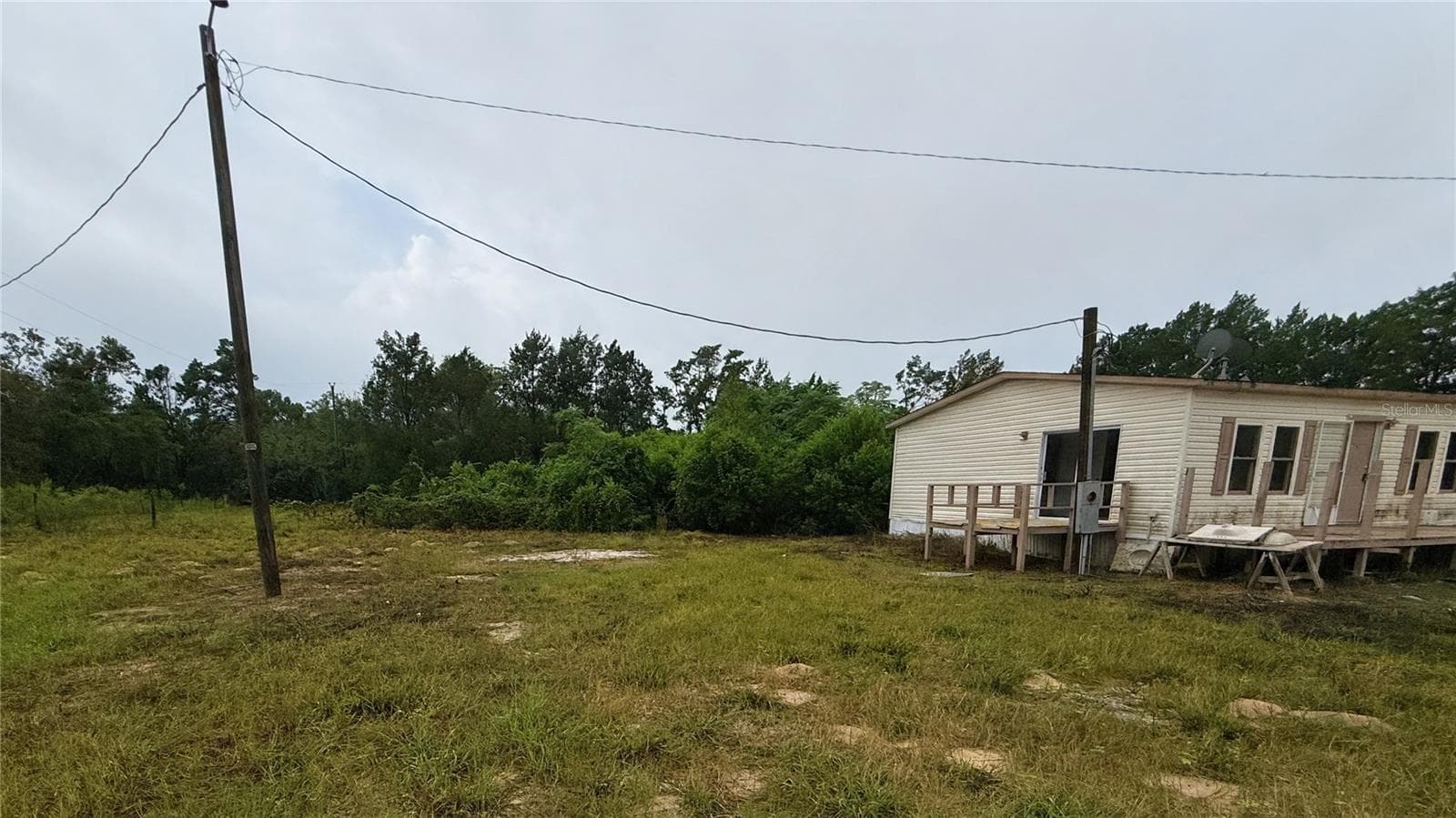 left side of propery, property beyond tree line - 16036 BOSLEY DR, SPRING HILL