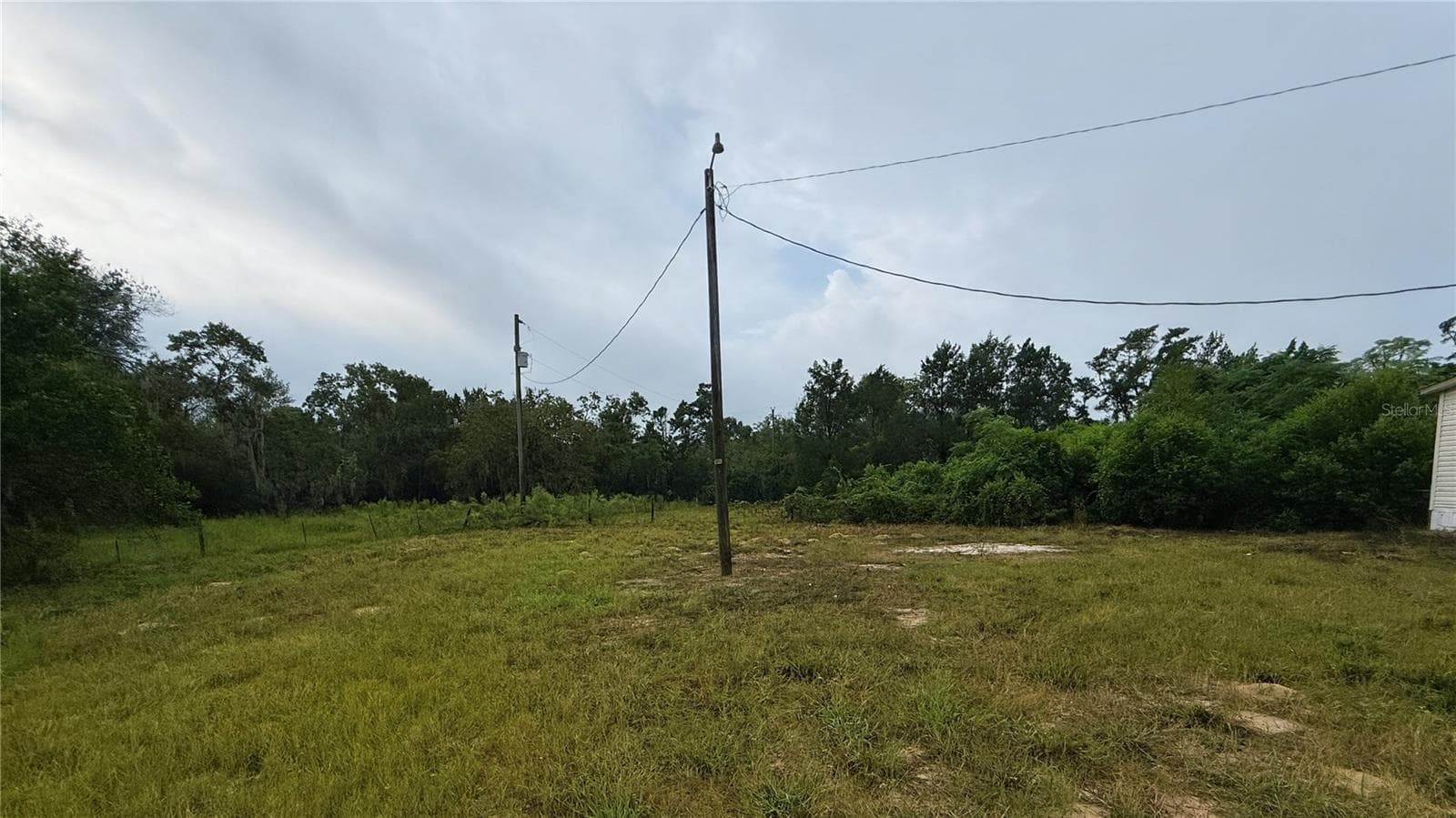 Septate fenced area of animals - 16036 BOSLEY DR, SPRING HILL