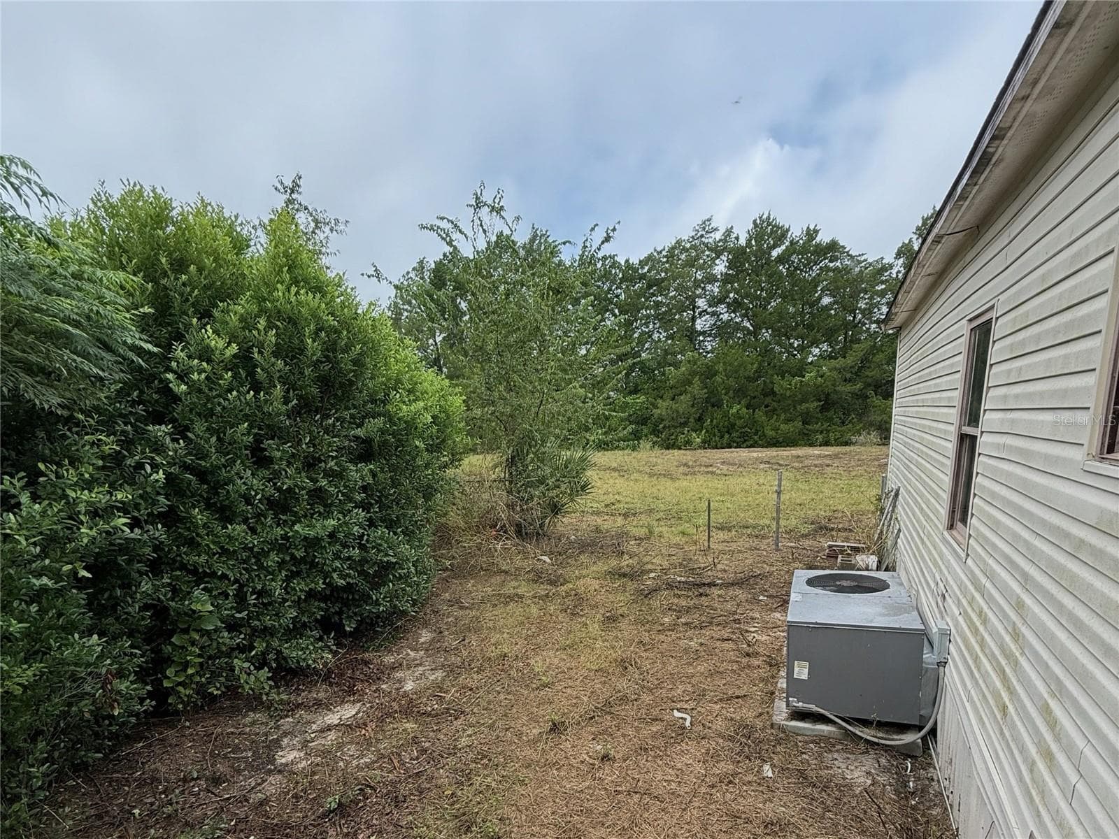 View from rear door with extended property behind tress - HIGHLANDS, SPRING HILL