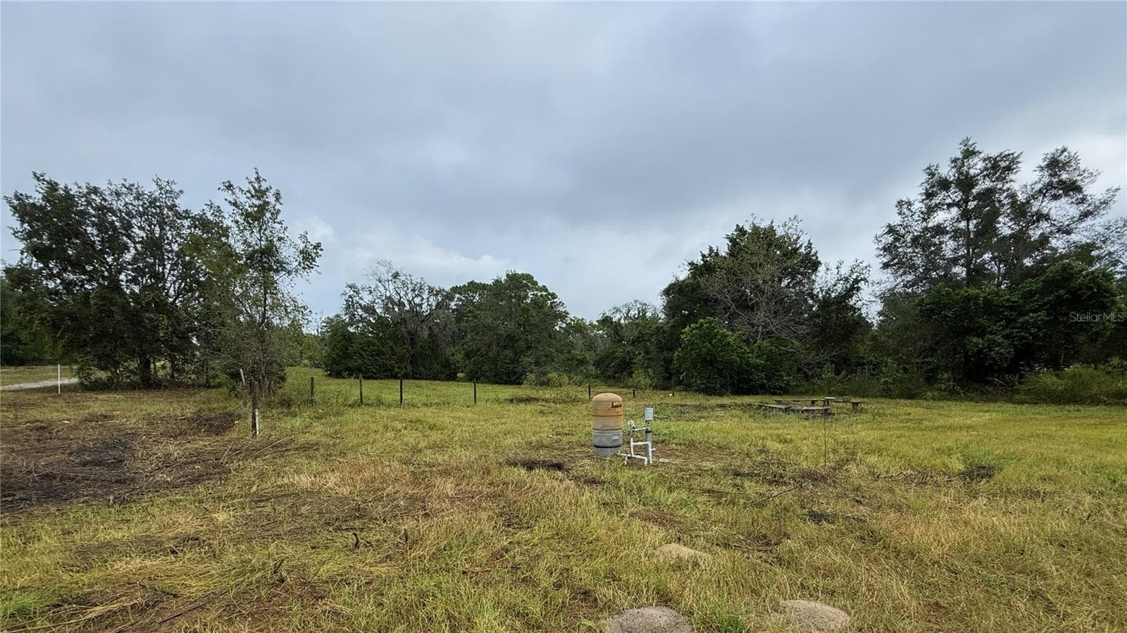 This section of Spring Hill, FL is know for Thoroughbred Piegions - HIGHLANDS, SPRING HILL