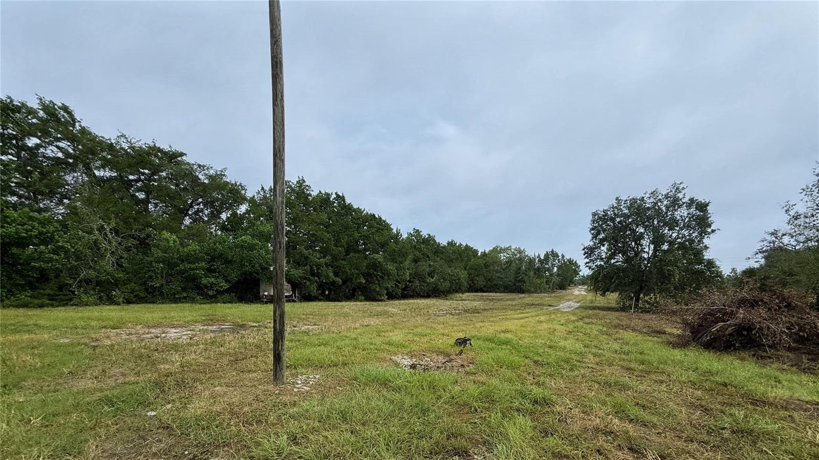 Very long driveway - HIGHLANDS, SPRING HILL