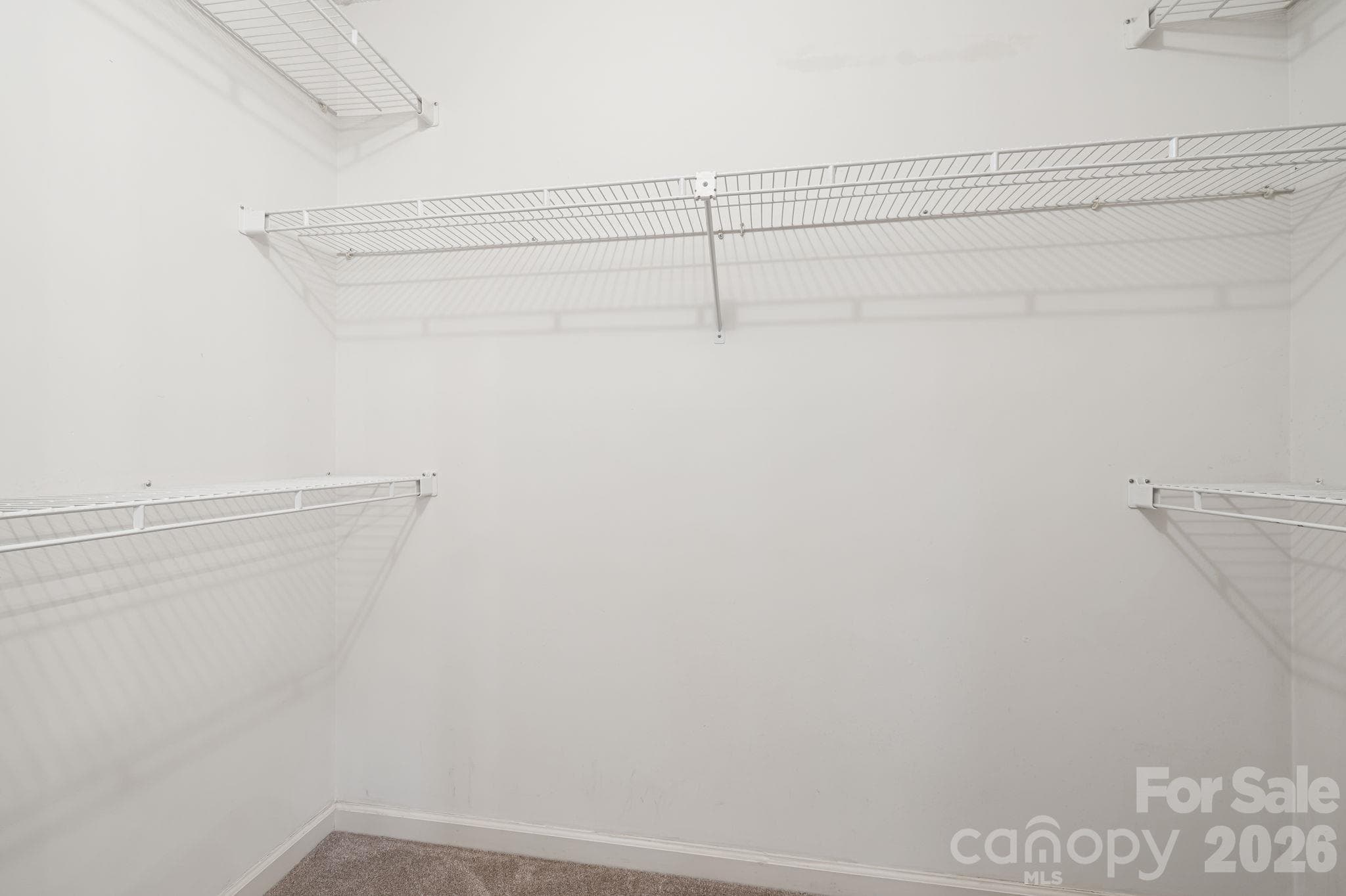 Master Walk in closet - 103 Tarragon Place, Flat Rock