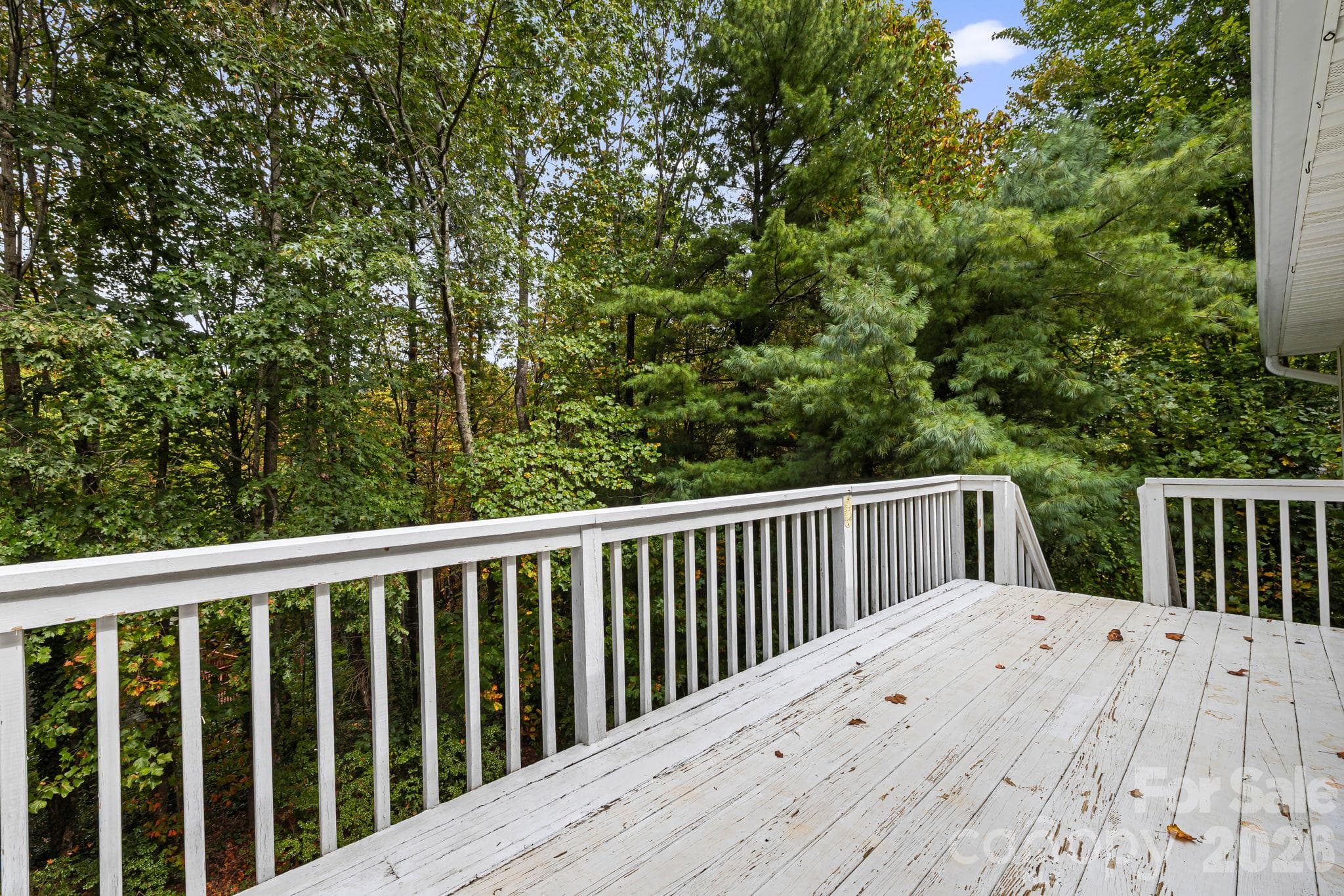Single Family Residence at 103 Tarragon Place, Flat Rock, photo 31 of 47