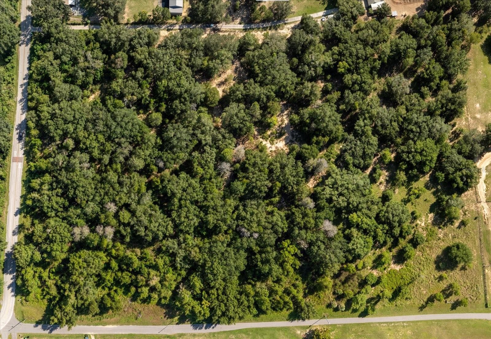 Land at 17701 SEIDNER RD, WINTER GARDEN, photo 19 of 39