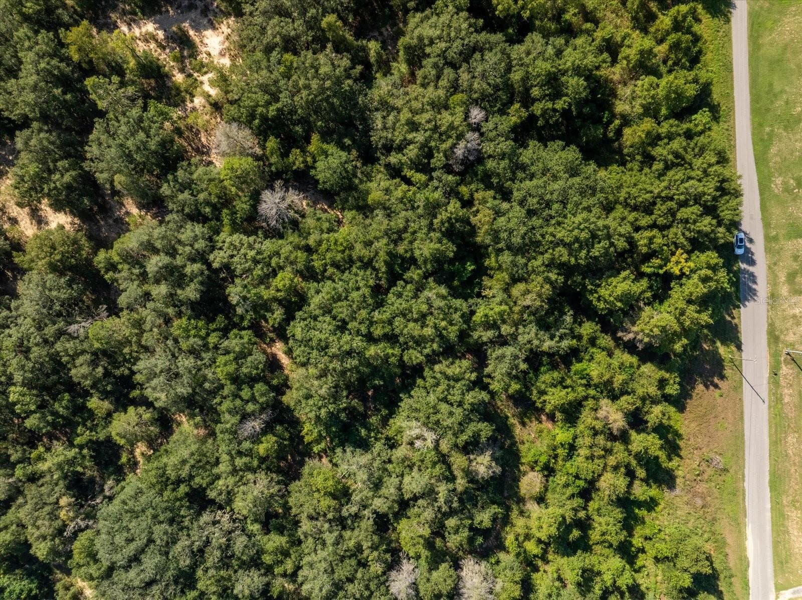 Land at 17701 SEIDNER RD, WINTER GARDEN, photo 22 of 39
