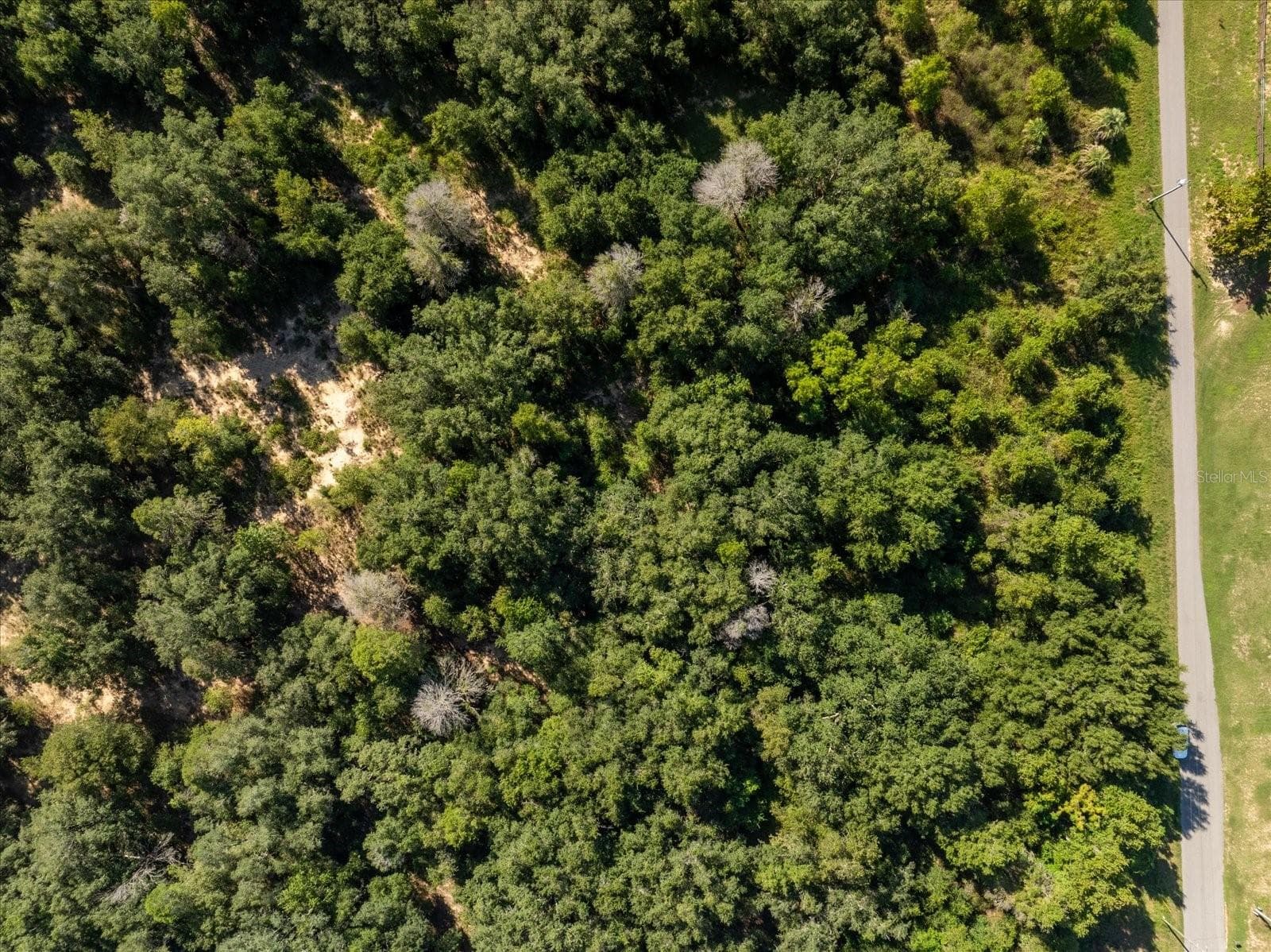 Land at 17701 SEIDNER RD, WINTER GARDEN, photo 23 of 39