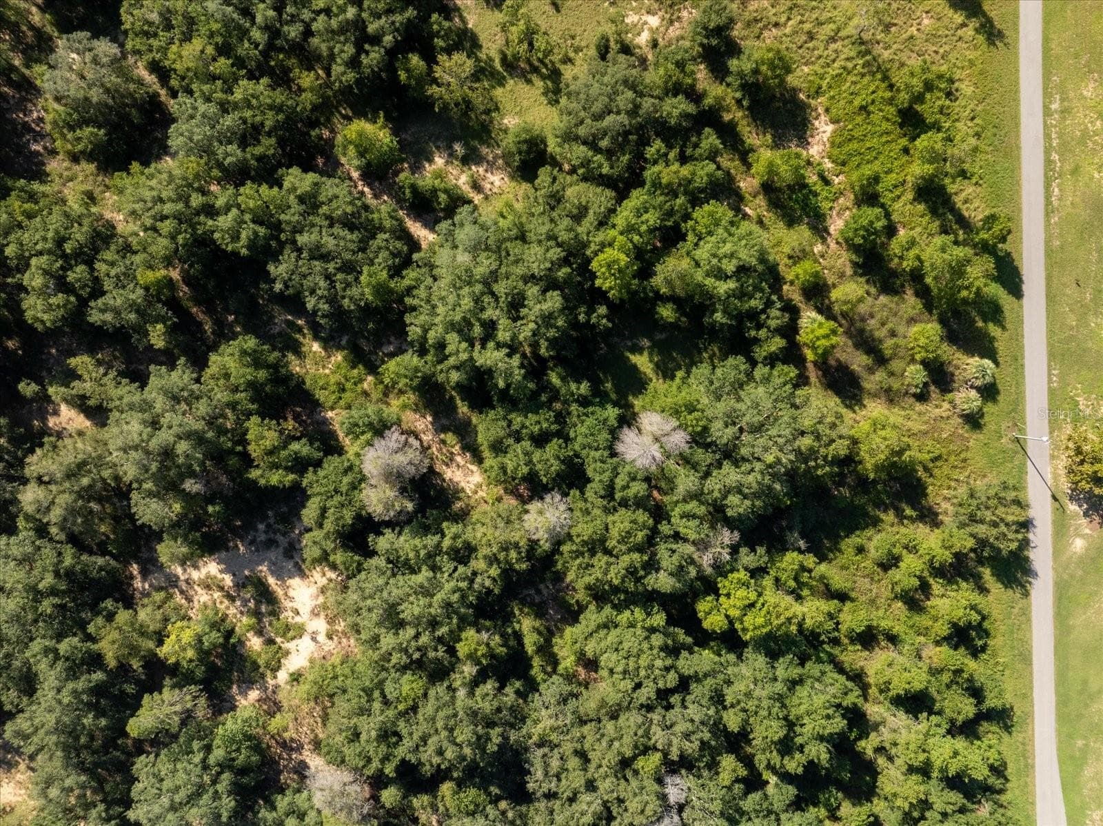 Land at 17701 SEIDNER RD, WINTER GARDEN, photo 24 of 39