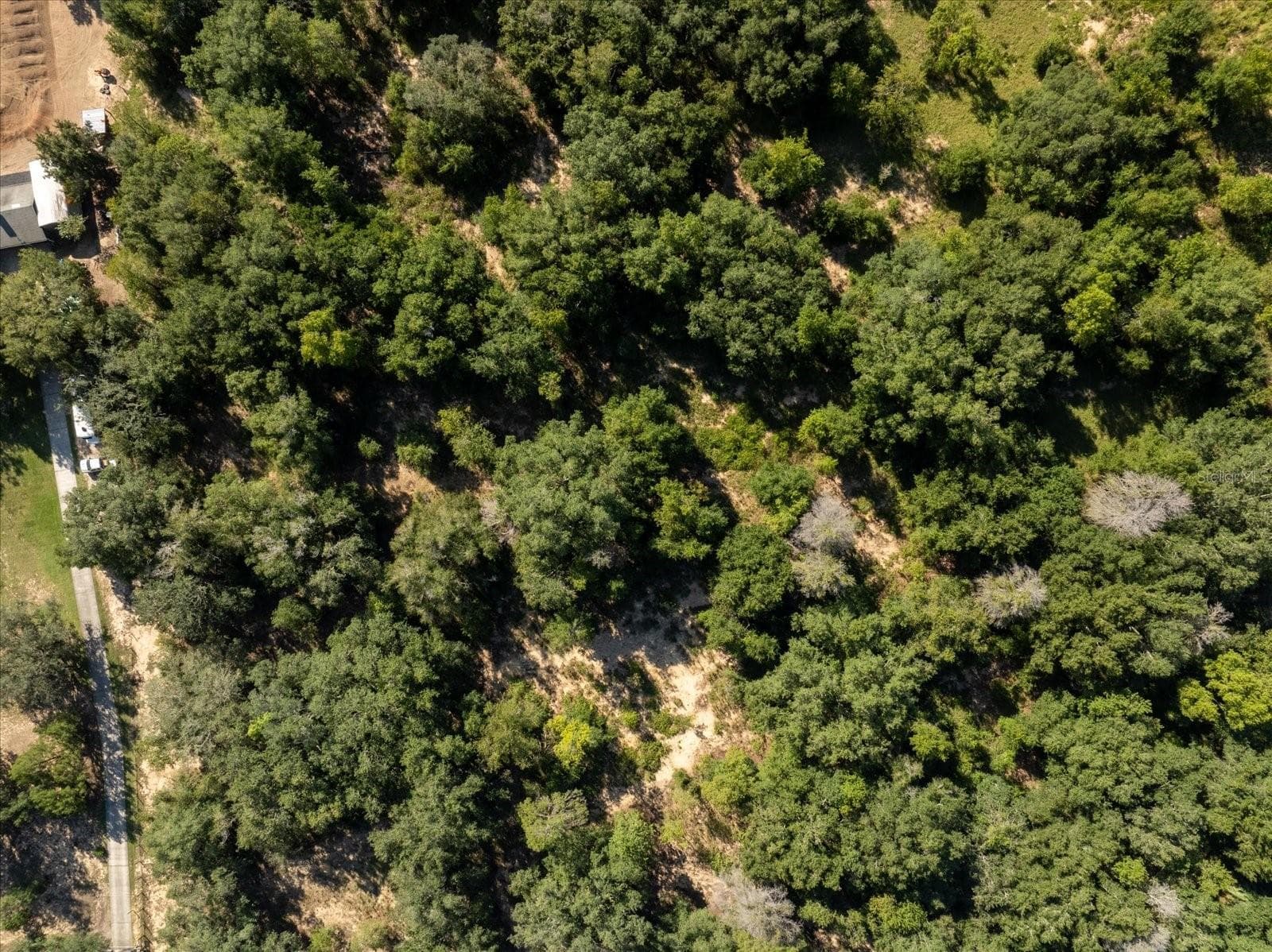 Land at 17701 SEIDNER RD, WINTER GARDEN, photo 27 of 39