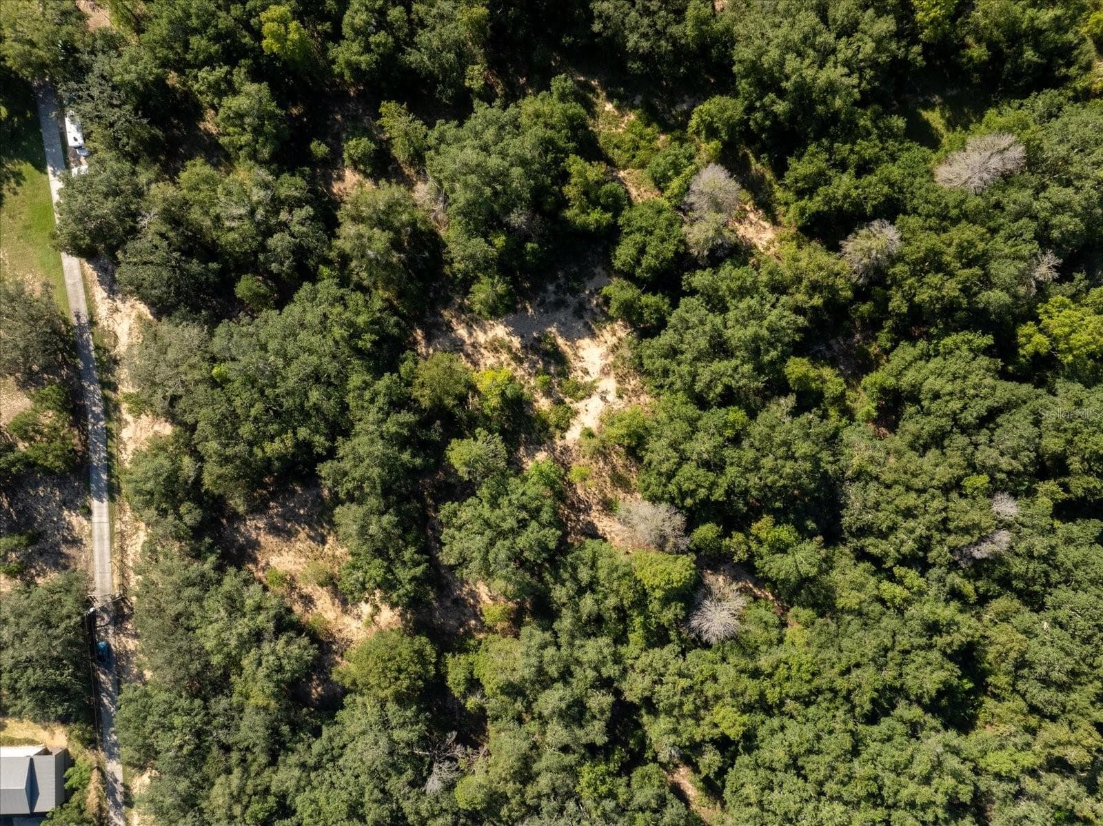 Land at 17701 SEIDNER RD, WINTER GARDEN, photo 28 of 39
