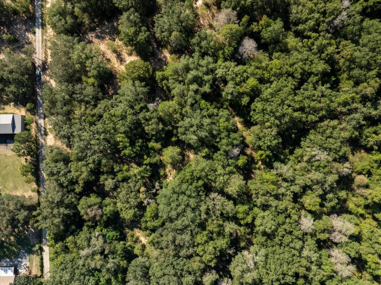 Land at 17701 SEIDNER RD, WINTER GARDEN, photo 30 of 39