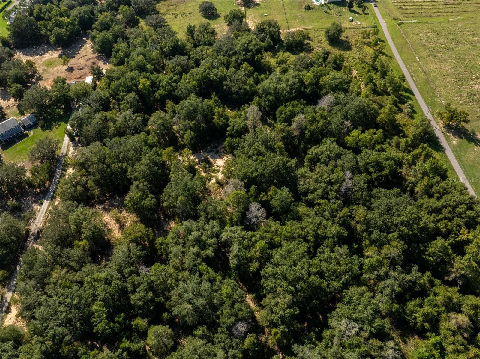 Land at 17701 SEIDNER RD, WINTER GARDEN, photo 32 of 39